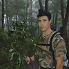 Публичное изображение канала Black Bear Obsession