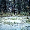 Публичное изображение канала Kevin Bourgoin Hunting